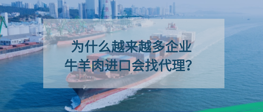 为什么越来越多企业牛羊肉进口会找代理？