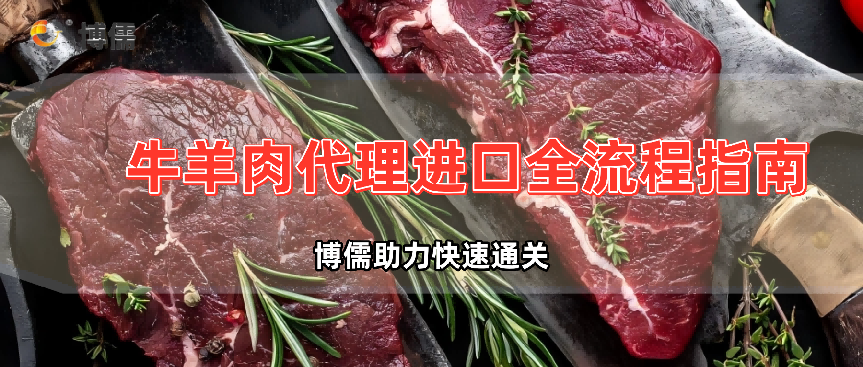 牛羊肉代理进口全流程指南：博儒助力快速通关