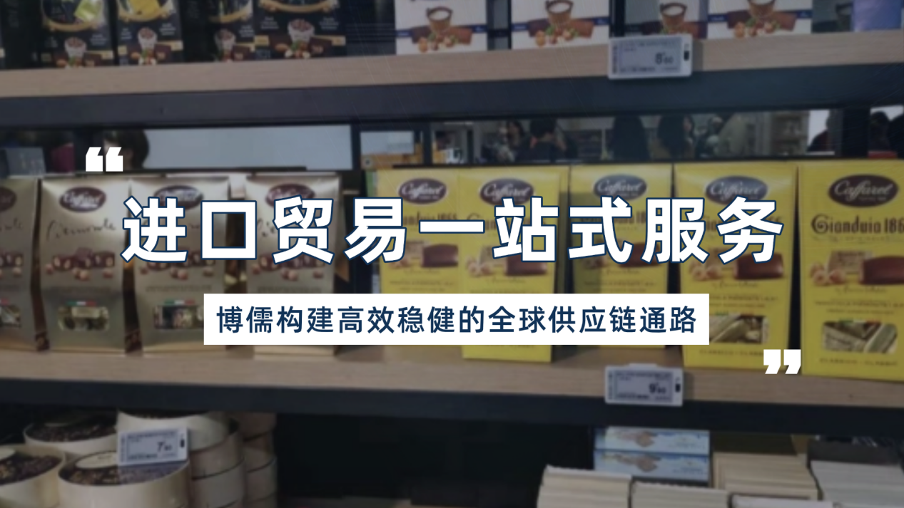 进口贸易一站式服务：博儒构建高效稳健的全球供应链通路