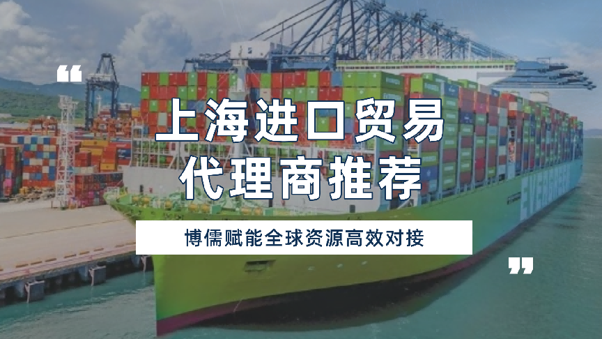 上海进口贸易代理商推荐？博儒赋能全球资源高效对接