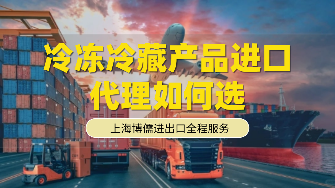 冷冻冷藏产品进口代理如何选？上海博儒进出口全程服务