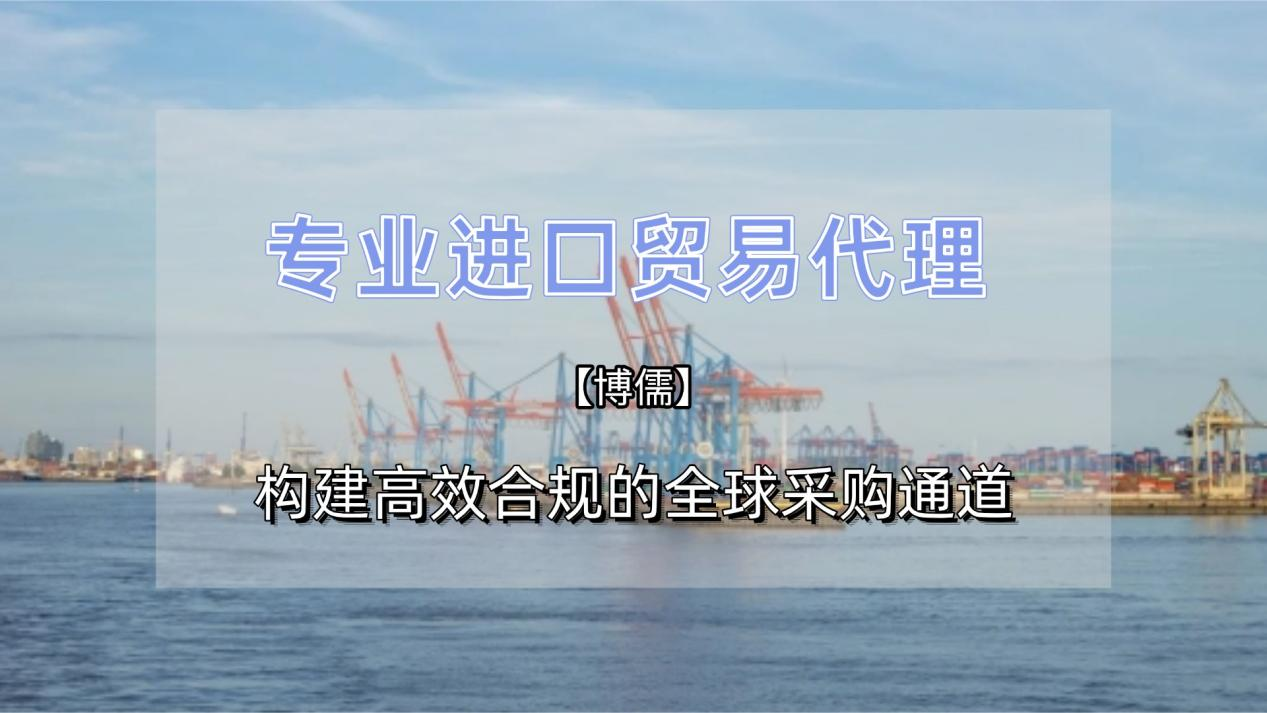 专业进口贸易代理：构建高效合规的全球采购通道