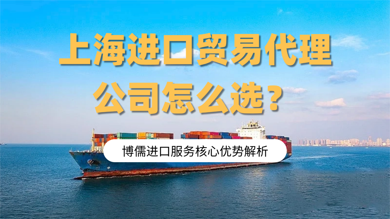 上海进口贸易代理公司怎么选？博儒进口服务核心优势解析