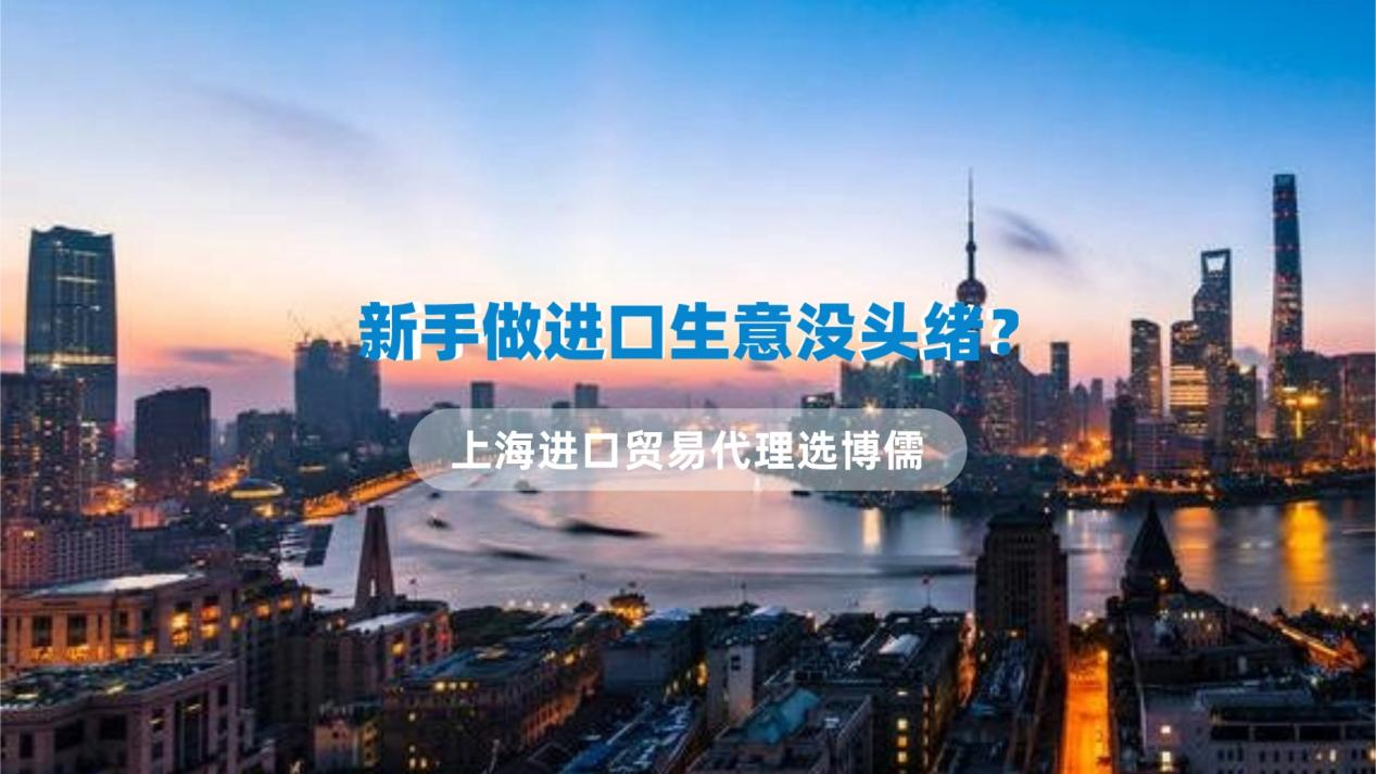 新手做进口生意没头绪？上海进口贸易代理选博儒
